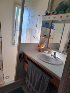 Koupelna v ubytování Chalet californien climatisé 6 personnes dans domaine privé avec piscine + 8 fotografií