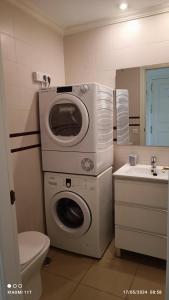 グラン・タラハルにあるThe Apartmentのバスルーム(洗濯機、シンク付)