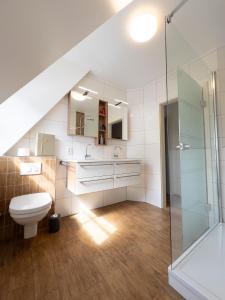 a bathroom with a toilet and a glass shower at Denkmalgeschütztes Fachwerkhaus im Zentrum mit Garage in Ibbenbüren