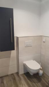 a white toilet in a bathroom with a tv at FeWo Drei Gleichen- Nr2 in Wandersleben