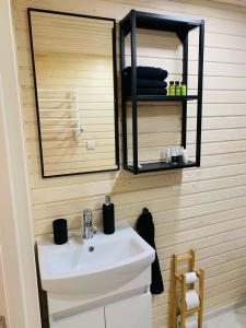 een badkamer met een wastafel en een spiegel bij Zbrusu nový luxusní Tiny House kousek od Moravského krasu 