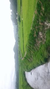 an aerial view of a green field next to the water at Arunachal Guest house in Hāpoli