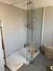 La salle de bains est pourvue d'une douche et d'un vase. dans l'établissement Appartement T2 avec jardin, à Lucciana