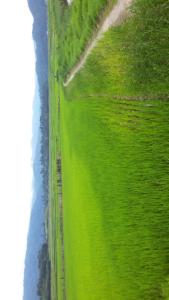 een luchtzicht op een groen veld en de oceaan bij Arunachal Guest house in Hāpoli