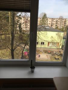 a window with a view of a playground seen through it at Apartment on the 4th floor in Jūrmala