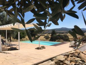 Afbeelding uit fotogalerij van Almojanda 3 olive tree in Fortios