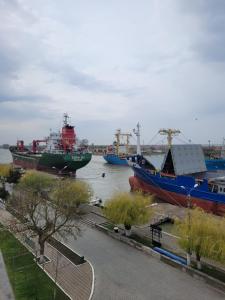 スリナにあるApartament Rasarit de Soare Sulinaのギャラリーの写真