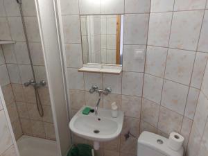 Ένα μπάνιο στο Pokoje Gościnne Viking +11 φωτογραφίες