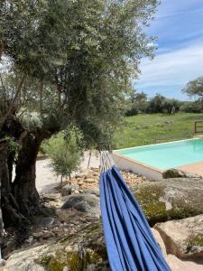 Afbeelding uit fotogalerij van Almojanda 3 olive tree in Fortios