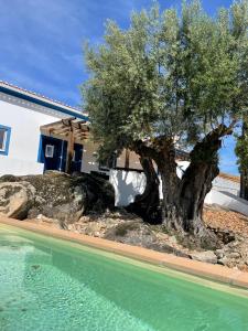 Afbeelding uit fotogalerij van Almojanda 3 olive tree in Fortios