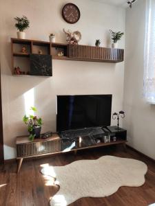 uma sala de estar com uma televisão de ecrã plano e um tapete em Byt v centre mesta Snina em Snina