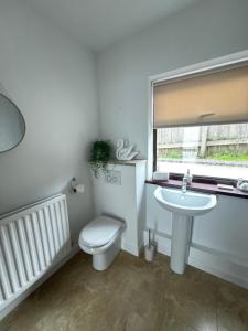 a bathroom with a toilet and a sink and a window at The Danes Gower, Llanmadoc, Gower in Swansea