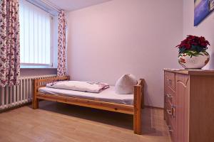 Postel nebo postele na pokoji v ubytování Komfort Appartement Bad Pyrmont Nähe Kurpark