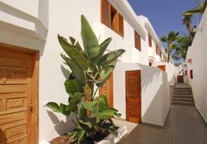 Gallery image of Apartamentos Montecarlo in Puerto Rico de Gran Canaria