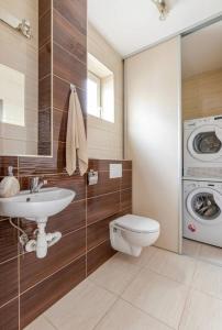uma casa de banho com um lavatório e uma máquina de lavar roupa em Modern 2 bed house near Bratislava with parking em Rovinka