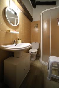 a bathroom with a sink and a shower and a toilet at Piedra Andadera II in Soria