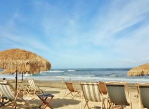 a group of chairs and umbrellas on a beach at Appartement avec terrasse/Bord de mer/Idéal SURF in Seignosse