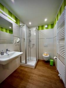 Un baño con ducha, lavabo e inodoro. en Apartments der "Alten Apotheke" Prerow, en Prerow 47 fotos más