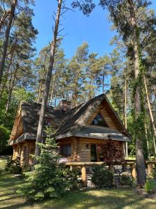 a log cabin in the woods with trees at Cedrowa Villa - Rezydencja nad jeziorem in Ełk