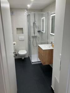 uma casa de banho com um chuveiro, um lavatório e um WC. em Borsch urlaub Ferienwohnungen em Geisa