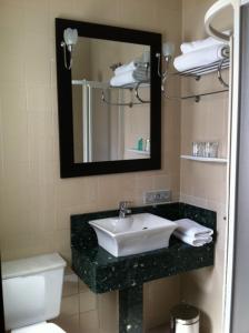 een badkamer met een wastafel, een spiegel en een toilet bij Itaca Colón by Soho Boutique in Córdoba