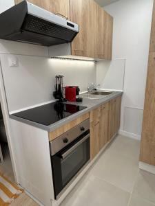 Kuchyňa alebo kuchynka v ubytovaní Loft Saint André + 4 fotografie