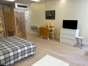 Televízia a/alebo spoločenská miestnosť v ubytovaní Loft Saint André