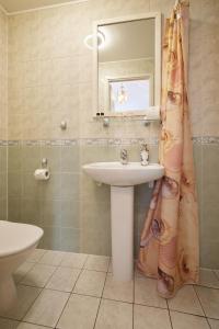 a bathroom with a sink and a shower curtain at Villa Wesenbergh in Rakvere