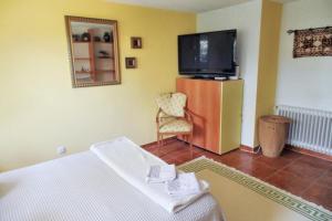 a room with a bed and a tv and a chair at One bedroom apartement with furnished garden and wifi at Collado Villalba in Collado-Villalba