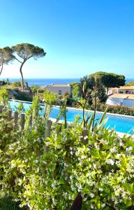 uma vista para uma piscina com plantas em Superbe villa avec piscine et vue mer + Revellata em Calvi