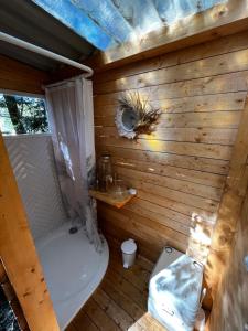 a bathroom with a toilet and a wooden wall at Glamping U Lesa in Rychnov nad Kněžnou