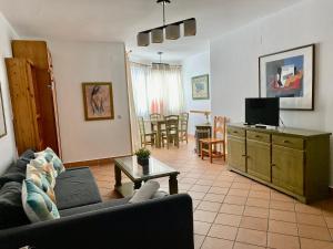 - un salon avec un canapé et une télévision dans l'établissement Apartamento con garaje Plaza de Andalucía, à Sierra Nevada