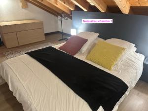 um quarto com uma cama grande e 2 almofadas em MAISON DES VIGNES- TROQUAÏROU et BECCA MOTTA em Brides-les-Bains