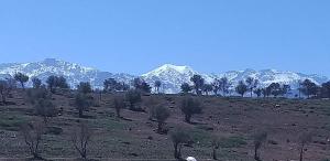 een veld met besneeuwde bergen in de verte bij Dar Imoughlad in Marrakesh