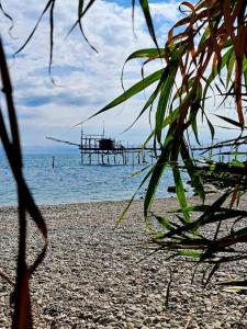 Φυσικό τοπίο κοντά σε αυτό το διαμέρισμα
