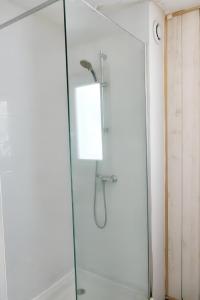La salle de bains est pourvue d'une douche avec une porte en verre. dans l'établissement Appartement de 4 chambres avec balcon et wifi a Perpignan a 5 km de la plage, à Perpignan
