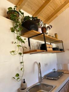 eine Küchentheke mit Spüle und einigen Pflanzen in der Unterkunft Herdade da Maceira in São Luís