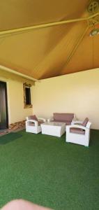three beds in a room with green carpet at استراحات توليب أبها in Qāʼid
