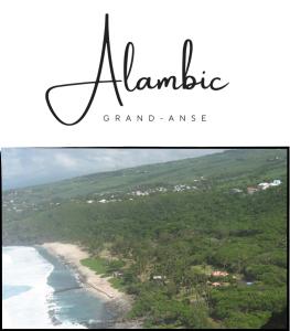 una imagen de una playa con las palabras alaminotide grandamine en Alambic de Grand Anse en Petite Île