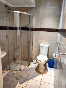 y baño con ducha y aseo. en Thandanani Serene & Cosy place en Pietermaritzburg