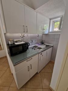 Kuchyň nebo kuchyňský kout v ubytování Studio apartman Zana + 36 fotografií