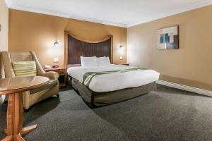 um quarto de hotel com uma cama e uma cadeira em Quality Inn & Suites Atlanta Airport South em Atlanta