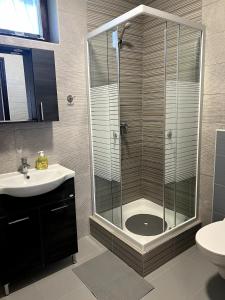 a bathroom with a shower with a sink and a toilet at Aniiza Apartman 2 in Örvényes +25 photos