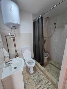 une salle de bain avec toilettes, lavabo et douche dans l'établissement Casa Ștefania, à Pescari