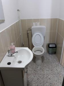 a bathroom with a white toilet and a sink at Casa Ștefania in Pescari