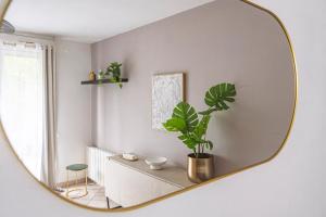 a mirror hanging on a wall with a plant at Place d'Erlon Hyper Centre in Reims