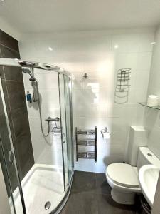 La salle de bains est pourvue d'une douche, de toilettes et d'un lavabo. dans l'établissement Bamboo Guesthouse, à Bournemouth