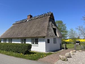 a small white house with a thatched roof at Weiße Kate Gut Priesholz in Rabenholz