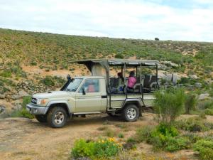 Un jeep con gente sentada atrás. en Nuwefonteinskop Lodge, en Kotzesrus