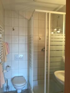 een badkamer met een douche, een toilet en een wastafel bij La Promenade in Sierre